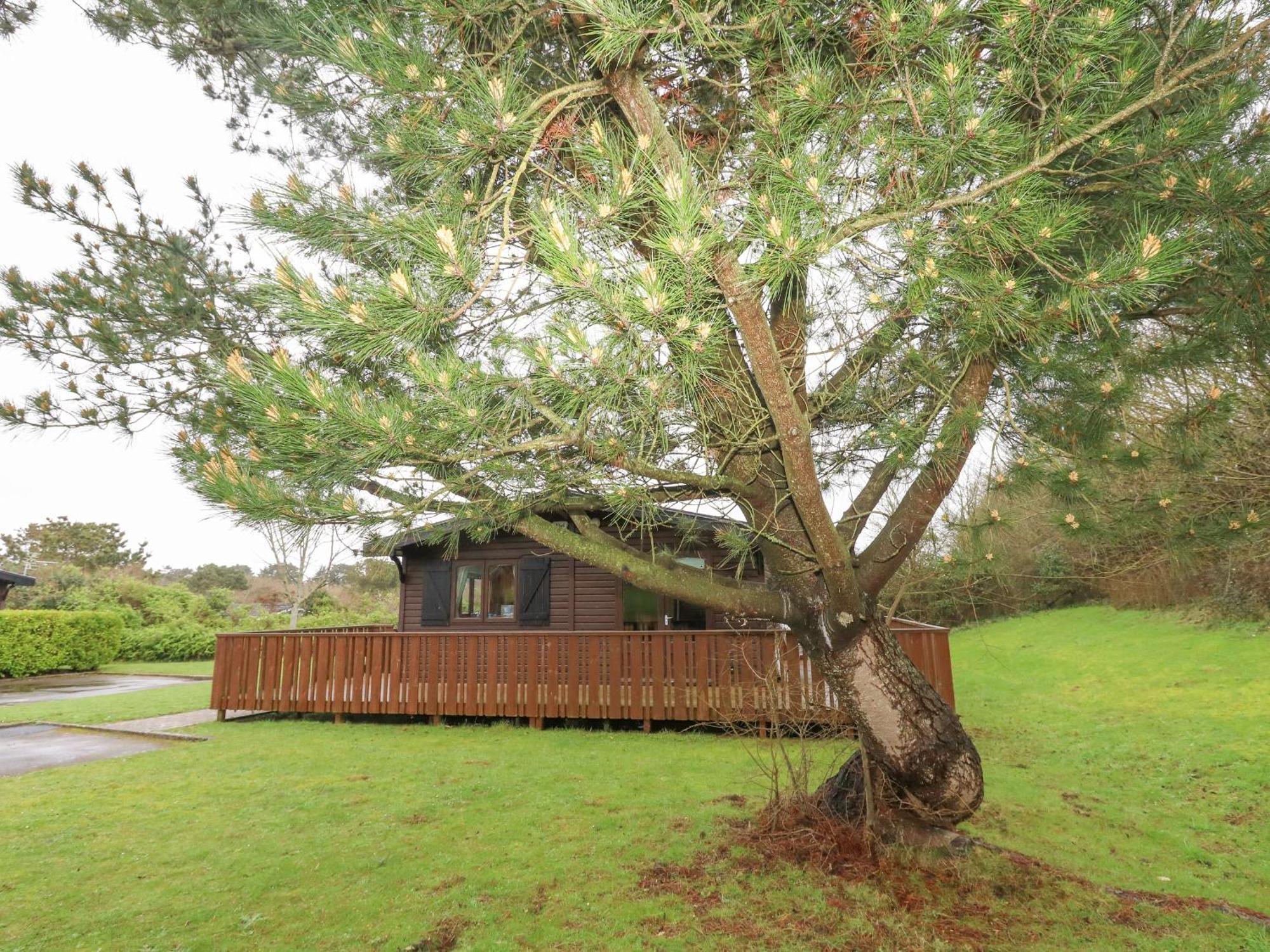 16 Amber Wood Lodge Лимингтон Экстерьер фото